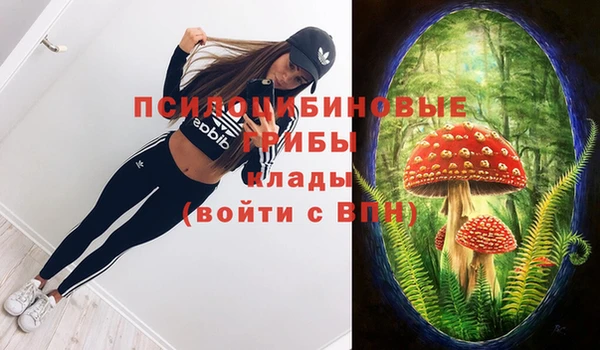ГАЛЛЮЦИНОГЕННЫЕ ГРИБЫ Алзамай