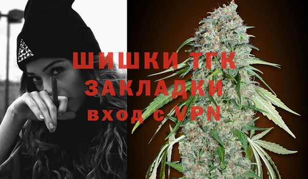 ГАЛЛЮЦИНОГЕННЫЕ ГРИБЫ Алзамай