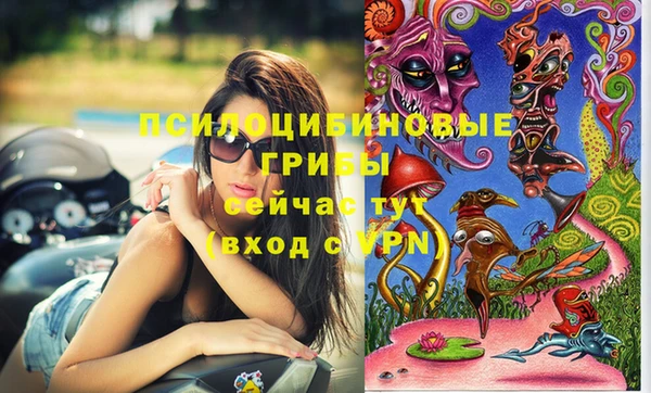 спайс Алексин