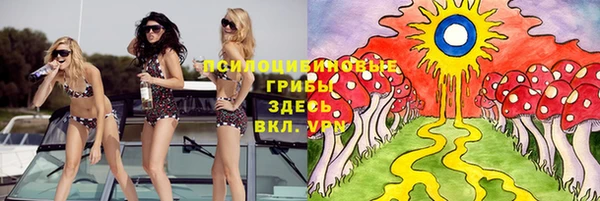 спайс Алексин