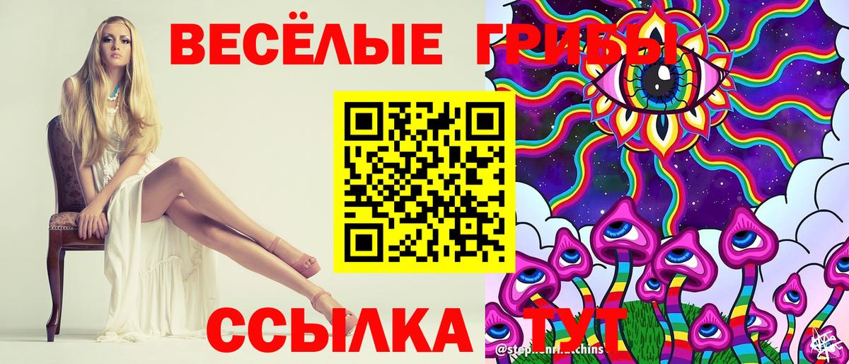 Мыски  Псилоцибиновые грибы MAGIC MUSHROOMS  Вход с VPN 
