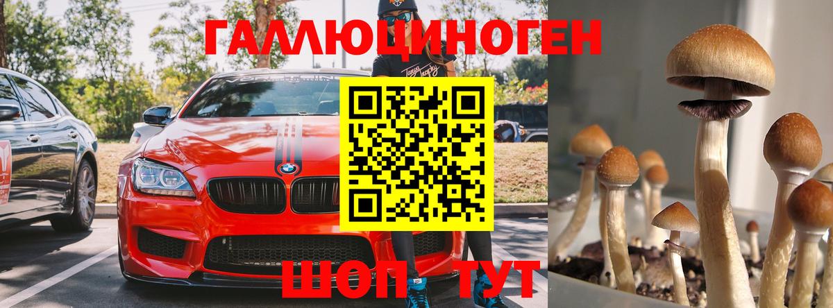Галлюциногенные грибы Мыски